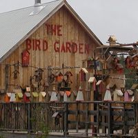 The Bird Garden