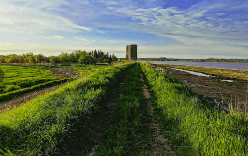 Petitcodiac Dykeland Trails