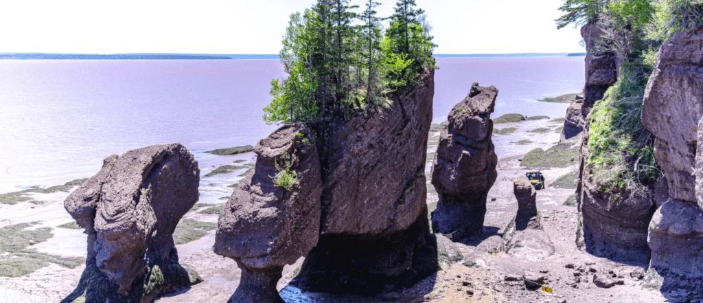 Innisfree Hopewell Rocks Bed and Breakfast