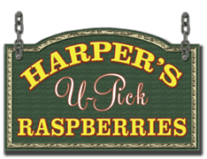 Harpers U-Pick