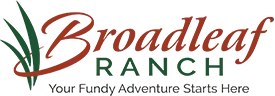 Broadleaf Guest Ranch